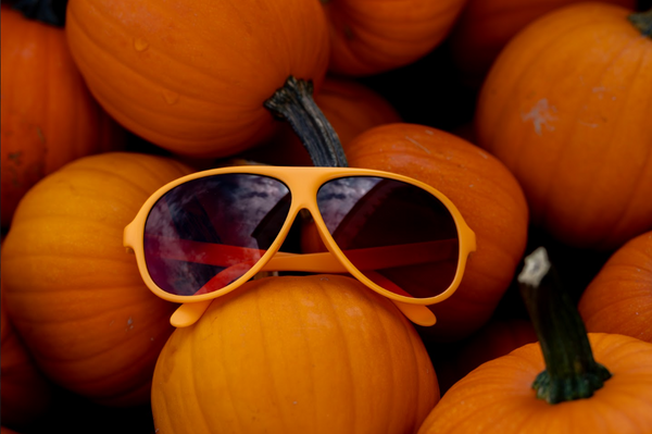 Affordable Sunglasses For Your Fall Wardrobe